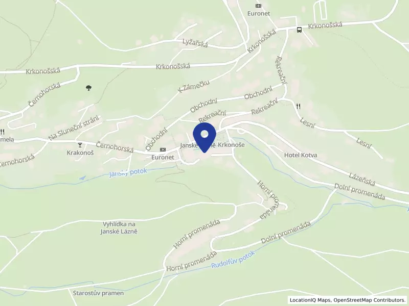 Státní léčebné lázně Janské Lázně, státní podnik