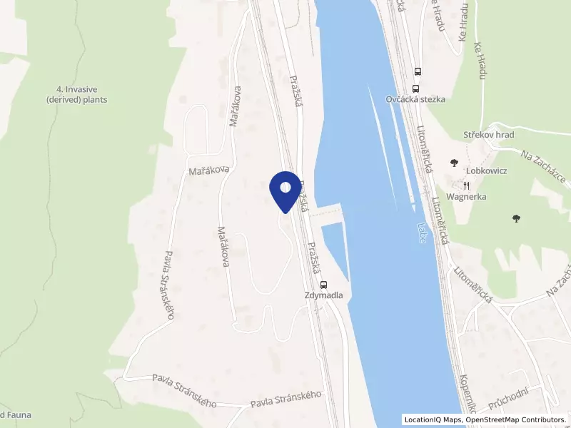 Domovy pro osoby se zdravotním postižením Ústí nad Labem, příspěvková organizace